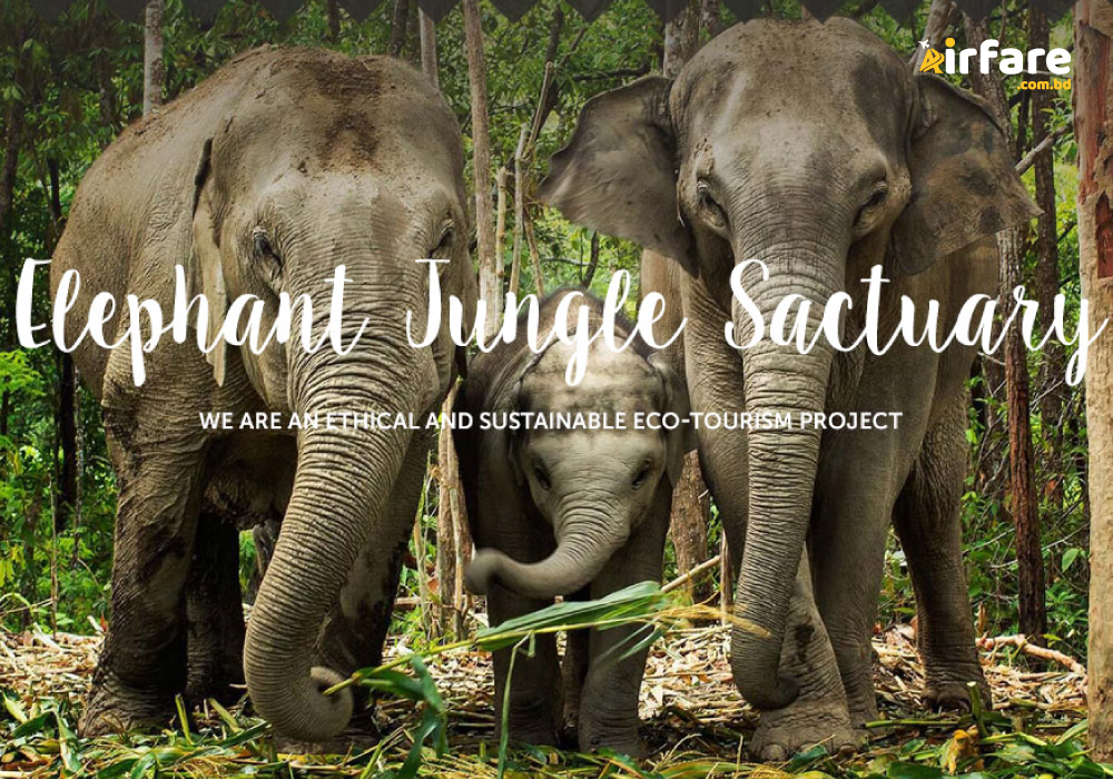 Phuket_Elephant_Sanctuary